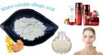 Pomegranate Water Soluble Powder Ellagic Acid 40% Skin Whitening Medicine Grade