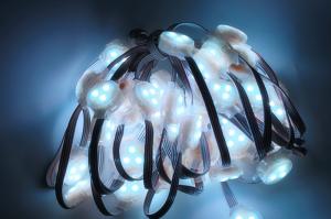 China Miracle Bean 0.8W 12V IP65 30MM LED Pixel string factory