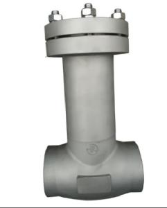 China CDH61F-40PB 304 Cryogenic Check Valve SS 304 Low Temperature Customized factory