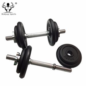 China Cast Iron Black Painting Standard Weight Plate / Weight Disc factory