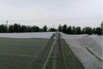 100% Polyethylene Anti Insect Fly Screen Mesh / Garden Insect Netting For