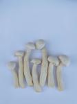 The Healthiest Vacuum Fried Vegetable Snacks of 2022 healthy dried white jade