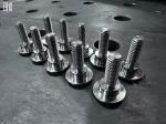 INCA Titanium Alloy Screws Ten Pieces Minimum Order For Touring Series