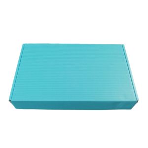 100g/M2 Cardboard Package Boxes Glossy Varnishing Custom Cardboard Shipping