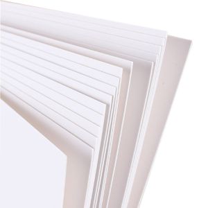 Gloss Matte C2S Coated FBB Ivory Board For Printing And Product Packaging
