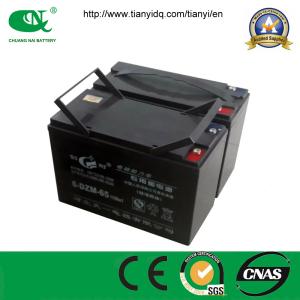 China 48V50ah Maintenance Free Sealed Lead Acid Power Battery Pack factory