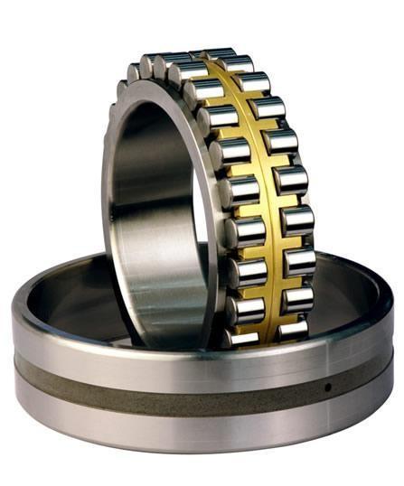 NN3020KP4W33 100*150*37mm Double Row Cylindrical Roller Bearing Torsion