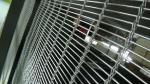 Decorative metal mesh partition screen,stainless steel wire mesh architectural