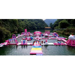 China Maximize Fun and Profit with Customizable Theme Inflatable Water Park factory