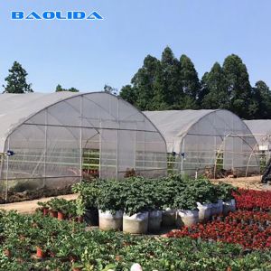 Galvanized Steel Structure PE Plastic Tunnel Greenhouse Polyethylene Film