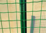 50*50mm Dutch Mesh Welded Wire Fence Panels