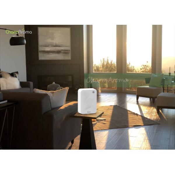 DC12V 5W Aromatherapy Essential Oil Diffuser / Fragrance Diffuser Electric