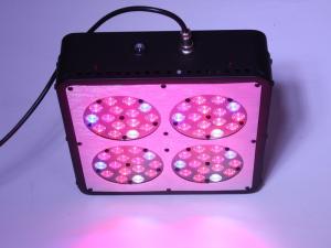 China Wholesale 300W Apollo COB LED Grow Light Full Spectrum Support Two-Year Warranty factory