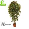 Buy cheap Luxury Height 170cm Artificial Ficus Tree For House Decoration from wholesalers