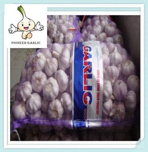 China new season normal white garlic fresh garlic price factory outlets natural garlic factory