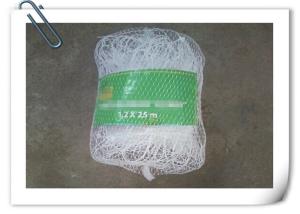 China Plastic Climbing Plant Support Net Green White Cucumber Support Net factory