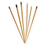 Dental Gutta Percha Points Diadent Gp Points Absorbent Paper Points Dental