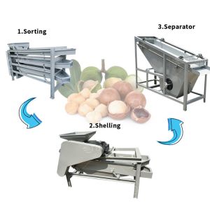 China Producing Palm Kernel Cracking Machine with Almond Shell Kernel Separation Function factory