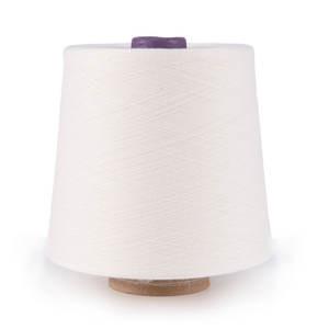 China High Tenacity Polyester Spun Yarn 40/2 Anti Pilling Virtue Textile factory