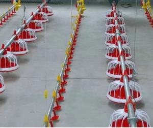 China Floor Galvanized Chicken Feeding Line Automatic Feeding Machine For Poultry factory