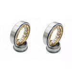 Hot Selling Double Row Cylindrical Roller Bearing 40x80x18mm Nj208e