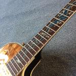 New high-quality custom LP electric guitar, Abalone Dinosaur inlaid fingerboard