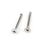 Top Ss410 Phillips Cross Recess Csk Flat Head Stainless Steel Self Drilling