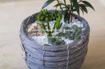 home dicorative wicker garden baskets table flower wicker basket manufacturer