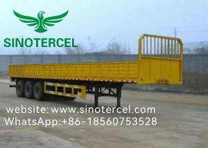 China Pallet Transport Sidewall Semi Trailer Cargo Container Trailer 20-70 Tons factory