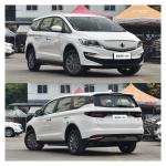 2023 Luxury 4 Seater Electric Car Lifan Maple Leaf 80v Adult Energy Vehicle 139L