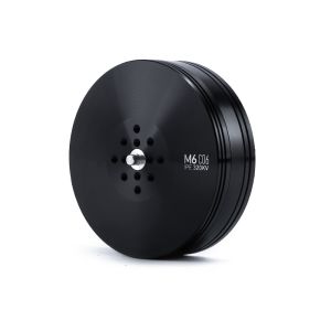 M6C06 IPE Anticorrosive Brushless DC Motor