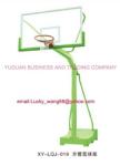 stationary single arm basketball out door type