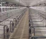 PVC Ventilating Livestock Farm Equipment Automatic Galvanized Steel