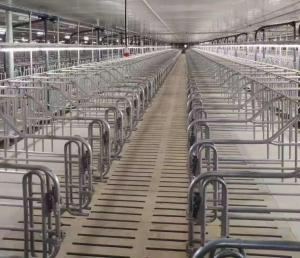 China Livestock Farm Equipment Individual Sow Cage For Mating factory