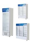 2 Glass Door Display Freezer Cabinet Air Cooled Blue Series Fresh Keeping