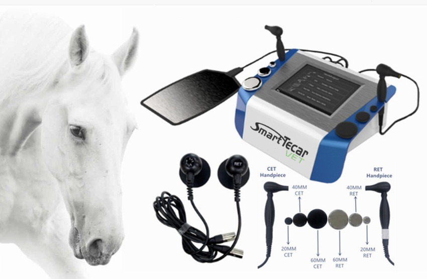 Portable Veterinary Physiotherapy Tecar Therapy Machine For Pet Horse Dogs Cats Pain Relief