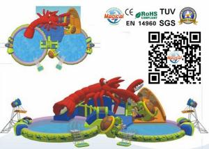 China Colorful Amazing Inflatable Water Park Rental With Double Slides factory