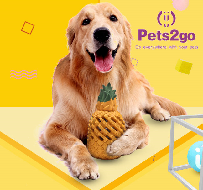 Pineapple Shaped Large 9*18CM Pet Chew Toys For Dog