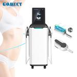2 In 1 Cryotherapy Cryolipolysis Slimming Machine 360 Degree