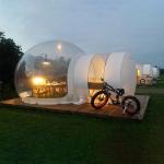ODM Luxurious Inflatable Bubble House Lodge Party Rental Bubble Balloon