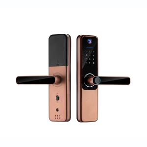 China 9 Languages Auto Door Lock Aluminum Alloy Remote Door Lock With Camera factory