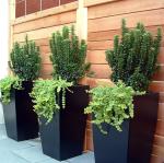 Modern Fiberglass Flower Pots Real or Artificial Tree Planters Customizable