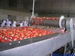 China Industrial Baking Hamburger Bread Cooling Spiral Chiller