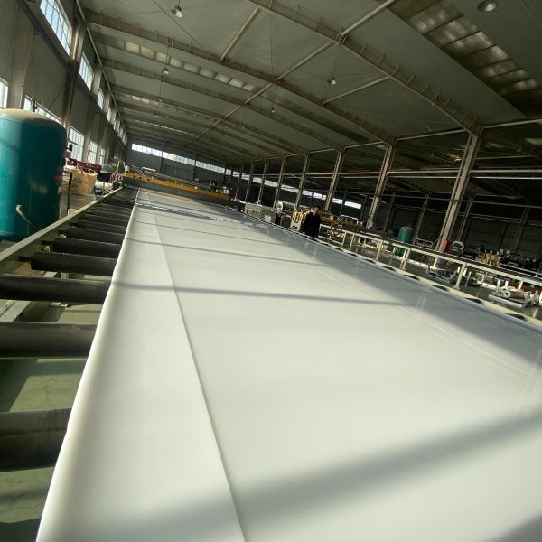 China Outdoor Thermoplastic Polymer Extruded Polypropylene Sheet Thermal Insulation factory