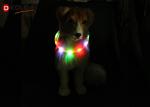Flashing Light Up LED Dog Necklace Rechargeable Flashing Dog Collars Pet Gift