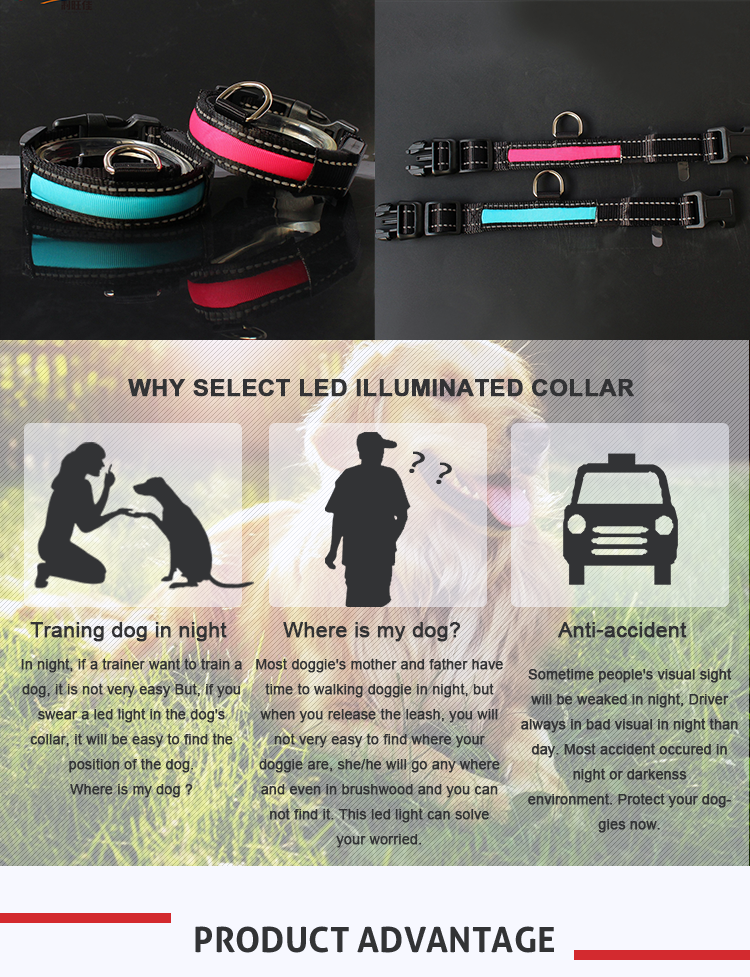 Led Safety Flashlight Pet Leashes Connect With Retractable Dog Leash