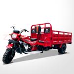 12V Voltage Cargo Adult Tricycle Motorized Three Wheel Cargo Motorcycle With