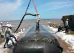 High Strenght PP Woven Geotextile For Geotube And Geocontainer