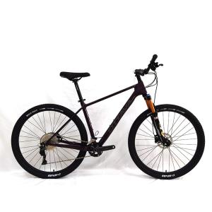 China Speed Lightweight Carbon Fibre Road Bike With Single Speed Gears factory