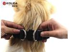 Multi Color Safety LED Dog Collar Harness Flashing Light Up For Dark Environment